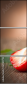 67189793