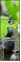 69394583