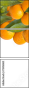 73416065