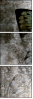 73878760