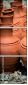 75440378