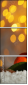 75658632