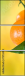 75734413