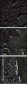 76101824