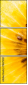 78671231