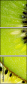 79048317
