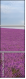 9059586
