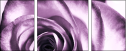11865044
