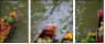 1612424