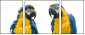 18738718