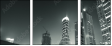 20635367