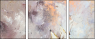 24599717