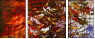 24600488
