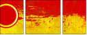 32019447