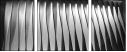 35619001