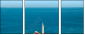 37043331