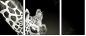 38098957