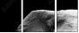 46583459