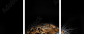 48606369