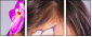 52845719