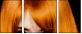 53895937