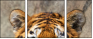 59798134