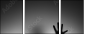 65905170