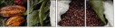 11160772