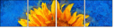 121341764