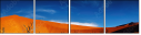 12976313