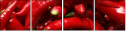 14895292