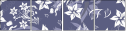 15644244