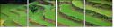 15713254