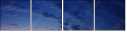 16069076
