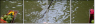 1612424