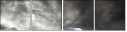 16975398