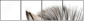 17246984