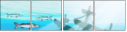17859338