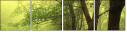 18166529