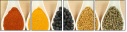 18267255