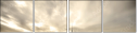 18341458