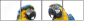 18738718