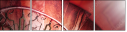20146238
