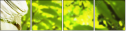 21155419