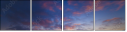 21172398