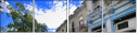 21524297