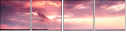 22254087