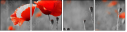 22284891