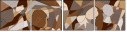 223892600