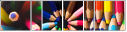 22530826